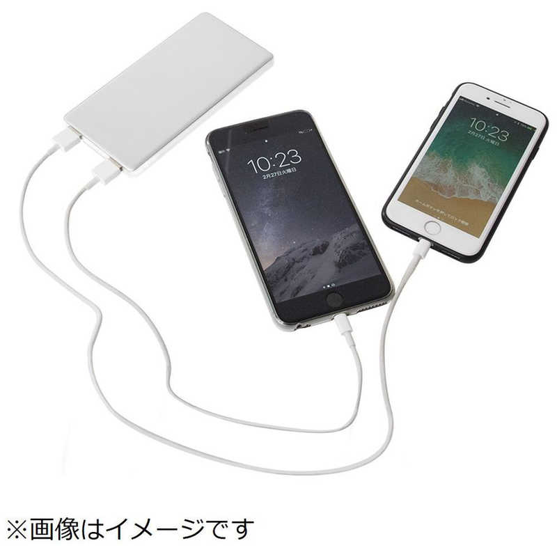 TAG label by amadana TAG label by amadana タグレーベル バイ アマダナ モバイルバッテリー [6200mAh /3ポート /充電タイプ] AT-MBA62P-SV シルバｰ AT-MBA62P-SV シルバｰ