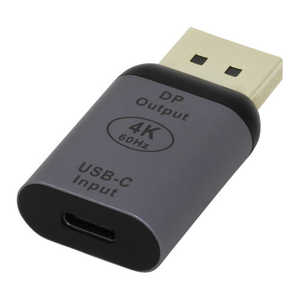 アイネックス USB Type-C変換アダプタ C - DP ディスプレイ側接続用 ADV-CDP01