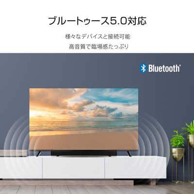 WIS チューナーレステレビ [ 50V型 / 4K対応 / チューナーレス