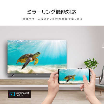 WIS チューナーレステレビ [ 50V型 / 4K対応 / チューナーレス