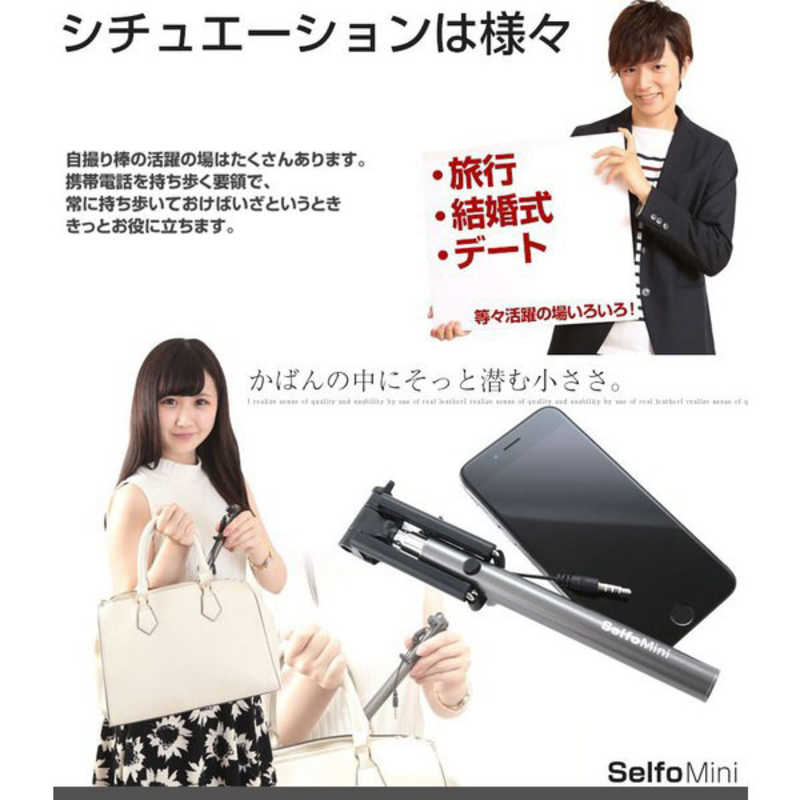 ロジック ロジック Selfo Mini(セルフォミニ) LG-SFM1 シルバｰ LG-SFM1 シルバｰ