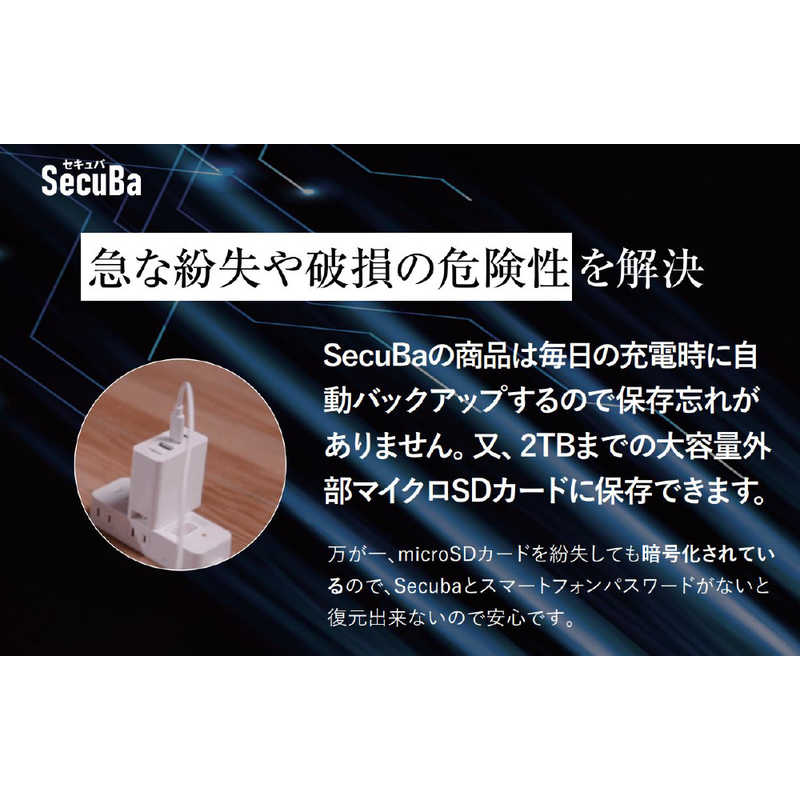 ロジック ロジック SECUBA HiCharger Pro USBタイプC×3ポート LG-SECUBA-HCP65W3C LG-SECUBA-HCP65W3C