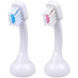 EMMI-DENT ւuV LbYp zCg K2 [2{] EMMIDENTK2