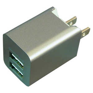 ティレイズ スマホ用USB充電コンセントアダプタ 2.4A （2ポート）　グレー BAC2U24SGY