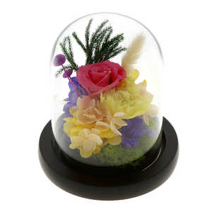 バックヤードファミリー ガラスドームアレンジメントL てまり GLASSDOMEL バックヤードファミリー ガラスドームアレンジメントL てまり GLASSDOMEL