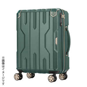 쥸ɥ ¿ǽ꡼SPATHA꡼ ꡼ [TSAå /62L(73L) /5?1] 5109-60-GR