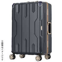 レジェンドウォーカー 多機能キャリーSPATHAシリーズ イエロー [TSA