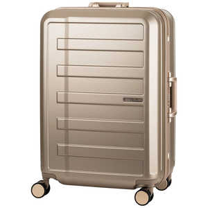 ���W�F���h�E�H�[�J�[ METRO WALKER�� WASHTEC(�􂦂�������n)���� �t���[���L�����[�P�[�X LEGEND WALKER �mTSA���b�N���ځn �V�����p���S�[���h 5903-68CGD