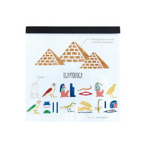 GREENFLASH STUDYHOLIC pbhEXNGA ÑGWvgw GreenFlash ST-033