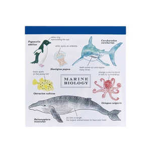 GREENFLASH STUDYHOLIC pbhEXNGA Cmw GreenFlash ST-060