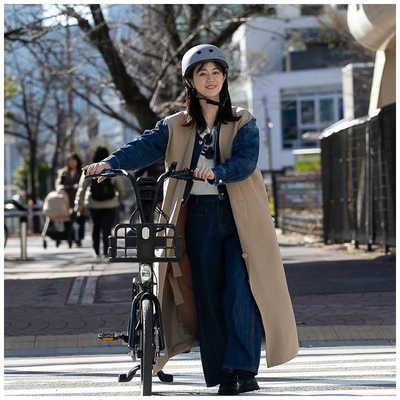EVERESTXING 電動アシスト自転車 CITY Plus リアキャリアモデル [20 