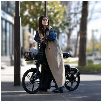 EVERESTXING 電動アシスト自転車 CITY Plus リアチャイルドシート