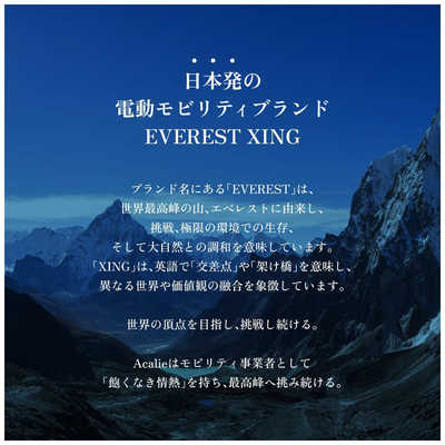 EVERESTXING 電動アシスト自転車 CITY Plus リアチャイルドシート