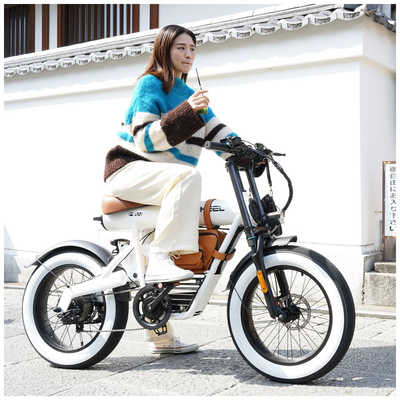 走行65キロのみ COSWHEEL MIRAI COMFORT ピュアホワイト COSWHEEL 電動アシスト自転車 20インチ MIRAI comfort コスウェル