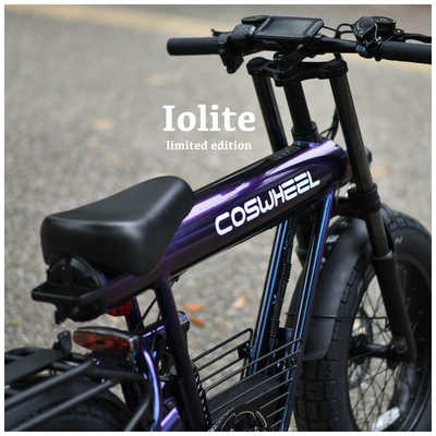 COSWHEEL 電動アシスト自転車 MIRAI comfort コスウェル ミライ
