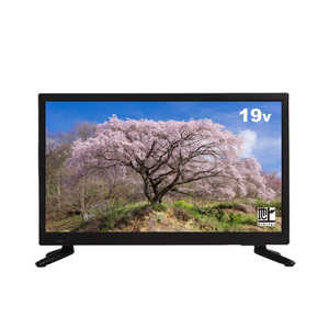 アペックス 液晶テレビ ［19V型 / ハイビジョン］ AP1920BJ