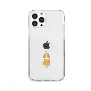 ROA iPhone 13 Pro 3 \tgNAP[X Ck Dparks DS21202I13P