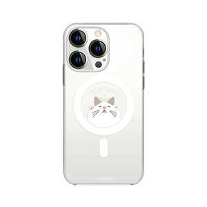 ROA iPhone 13 Pro 3眼 Magsafe対応ケース ターチャン　寝顔 abbi FRIENDS ABF21751I13P