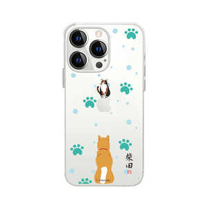 ROA iPhone 13 Pro 3 Ф󥯥ꥢ ߥ䥱פ abbi FRIENDS ABF21757I13P