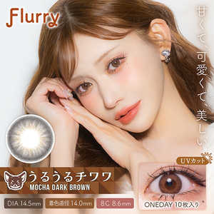 WSCALE (度あり/-5.75) フルーリー モカダークブラウン (うるうるチワワ) (BC8.6/DIA14.5) 10枚入 カラコン 