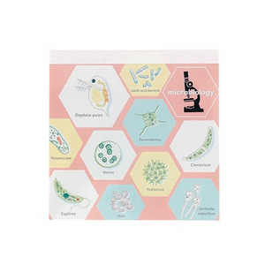 GREENFLASH STUDYHOLIC pbhEXNGA w GreenFlash ST-163