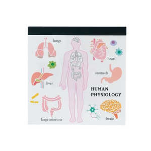 GREENFLASH STUDYHOLIC pbhEXNGA lސw GreenFlash ST-164