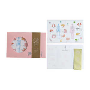 GREENFLASH STUDYHOLIC ^[Zbg lސw GreenFlash ST-262