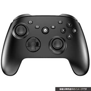 ץġ SWITCH/PCѥߥ󥰥ȥ顼PRO ֥å KWindowsPC/SWITCH T2-GCPWL-B
