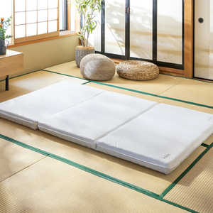 コアラフトン OASIS コアラフトン OASISの人気商品・通販・価格