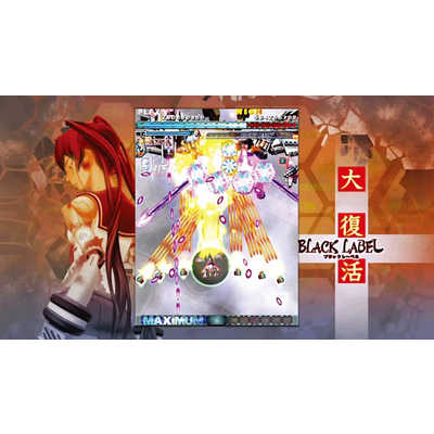 SUPERDELUXEGAMES Switchゲームソフト 怒首領蜂大復活 の通販