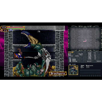 SUPERDELUXEGAMES Switchゲームソフト Castlevania Dominus Collection