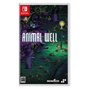 SUPERDELUXEGAMES Switchゲームソフト ANIMAL WELL SUPERDELUXEGAMES Switchゲームソフト ANIMAL WELL