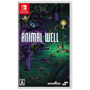 SUPERDELUXEGAMES Switch�����ॽ�ե� ANIMAL WELL HAC-P-BCCHA