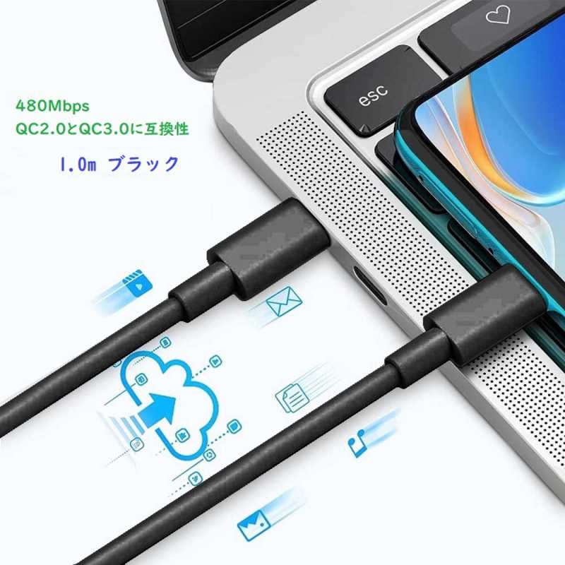 ROYALMONSTER ROYALMONSTER PD100W Type-Cケーブル 1.0m ［USB Power Delivery対応］ BK RM-1838CABLE-BK1.0 RM-1838CABLE-BK1.0