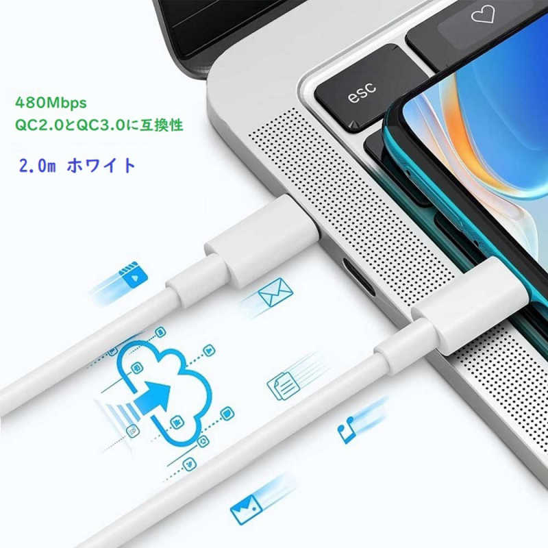 ROYALMONSTER ROYALMONSTER PD100W Type-Cケーブル 2.0m ［USB Power Delivery対応］ WH RM-1838CABLE-WH2.0 RM-1838CABLE-WH2.0