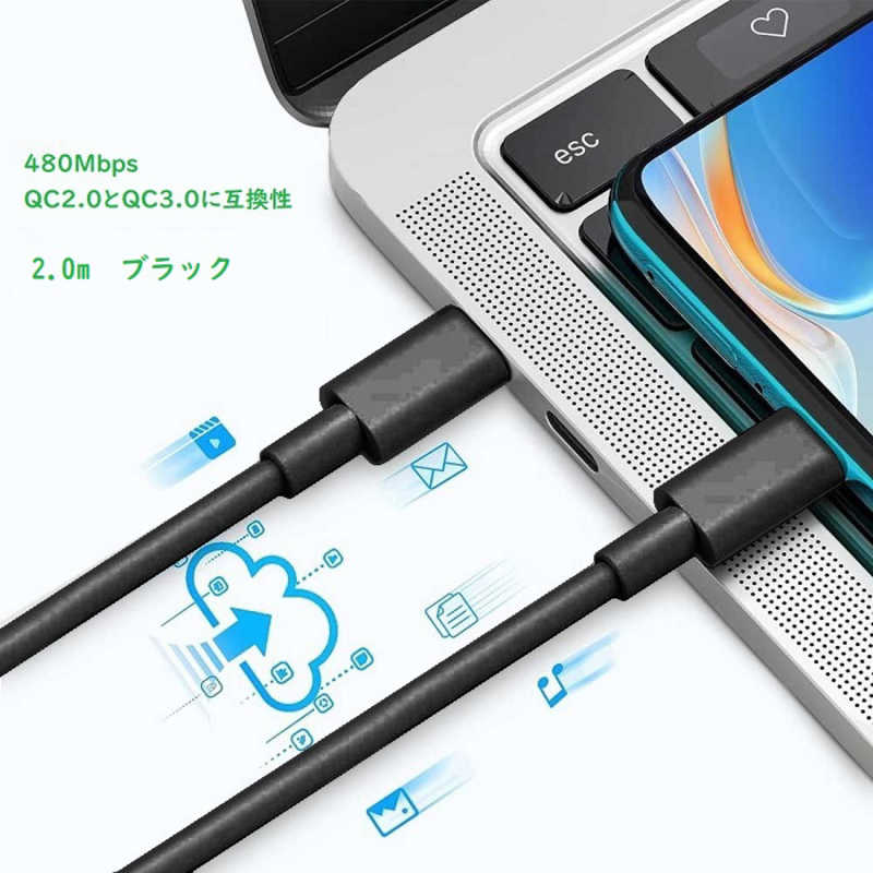 ROYALMONSTER ROYALMONSTER PD100W Type-Cケーブル 2.0m ［USB Power Delivery対応］ BK RM-1838CABLE-BK2.0 RM-1838CABLE-BK2.0