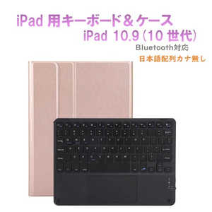 ROYALMONSTER 10.9インチ iPad(A16対応)用 キーボード&ケース RG RM-R4032RGB-Case ROYALMONSTER 10.9インチ iPad(A16対応)用 キーボード&ケース RG RM-R4032RGB-Case