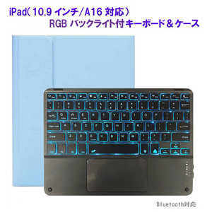 ROYALMONSTER iPad(10.9/A16б)ܡɡ SB RM-2221-109SB
