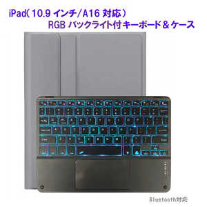 ROYALMONSTER iPad(10.9/A16б)ܡɡ GL RM-2221-109GL