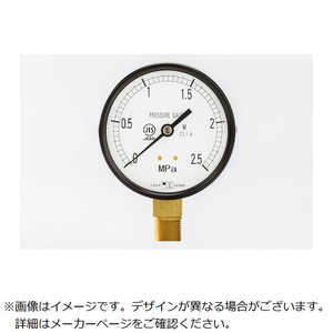 ״  ̾ѰϷ(AΩ100)ϥ0.0?2.5MPa G3/8 102712540