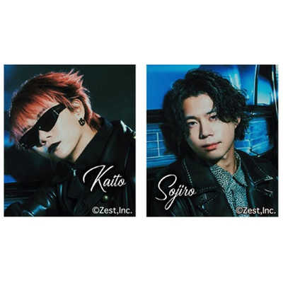 バンダイ BANDAI びっくらたまご Novelbright マグネットミュージアム