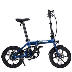 ERWAY ޤꤿưȼž A01 Lite [16] ͥӡ ΩʤˤĤԲġ ERWAYA01LITE