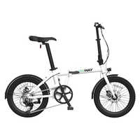 ERWAY 折りたたみ電動アシスト自転車 A01 [20インチ / 7段変速
