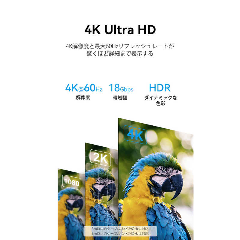 VENTION VENTION HDMI 2.0ケーブル 0.75m ブラック 4K対応 ［0.75m /HDMI⇔HDMI /スタンダードタイプ /イーサネット対応］ AA-0010 AA-0010