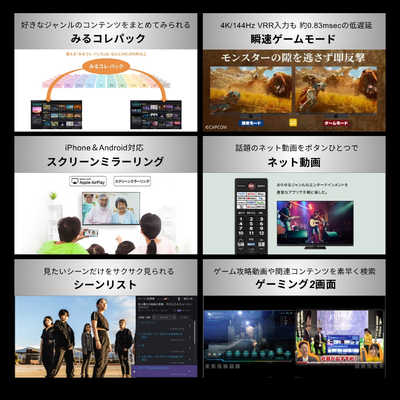 TVS REGZA RGB Mini LED液晶テレビ REGZA レグザ ZX2 65V型 4K対応 4K