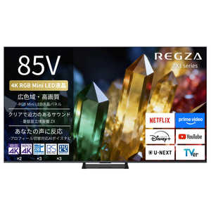 TVS REGZA �t���e���r REGZA(���O�U)(�v���O����) 85ZX3S