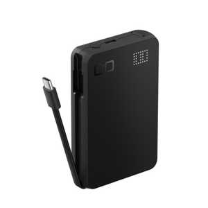CIO SMARTCOBY Pro SLIM CABLE BK ［USB Power Delivery対応 /2ポート］ CIO-MB35W2C-10000-SCBK