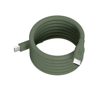CIO ѥ륷ꥳ󥱡֥ CtoC 1m USB Power Deliveryб ⥹꡼ CIO-SLSC30000-CC1-MGR