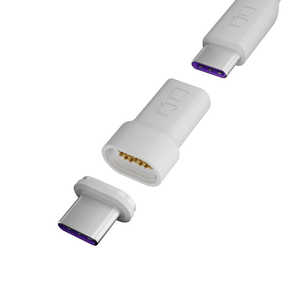 CIO USB-C マグネット変換アダプタ ストレート ホワイト CIOMGCTICCWH CIO USB-C マグネット変換アダプタ ストレート ホワイト CIOMGCTICCWH