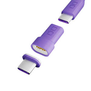 CIO USB-C マグネット変換アダプタ ストレート パープル CIOMGCTICCPP CIO USB-C マグネット変換アダプタ ストレート パープル CIOMGCTICCPP